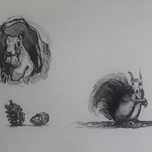 My project for course: Illustrating Nature: A Creative Exploration. Un proyecto de Pintura, Dibujo, Pintura a la acuarela, Ilustración con tinta e Ilustración naturalista				 de saferinadita - 09.04.2023