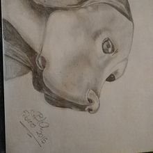 Dibujo a lapiz . % Beatriz alvarez frade tarafından hazırlanan Tasarım projesi - 04.09.2023