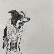 My project for course: Animal Illustration with Charcoal and Ink. Un proyecto de Bellas Artes, Dibujo, Ilustración con tinta e Ilustración naturalista				 de Lucy Breckenridge - 09.04.2023