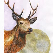 My project for course: Expressive Animal Portraits in Watercolor. Un progetto di Illustrazione tradizionale, Pittura ad acquerello, Disegno realistico e Illustrazione naturalistica di S Shing Lim - 10.04.2023