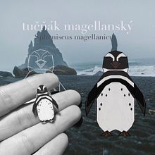 Winning design for a BeWooden brooch. Graphic Design, and Traditional illustration project by Katerina Stryckova - 08.28.2021