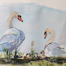 My project for course: Artistic Watercolor Techniques for Illustrating Birds. Un progetto di Illustrazione tradizionale, Pittura ad acquerello, Disegno realistico e Illustrazione naturalistica di Béatrice Ledermann - 11.04.2023