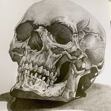 Mi proyecto del curso: Dibujo anatómico de la cabeza humana. Fine Arts, Pencil Drawing, Drawing, Portrait Drawing, Realistic Drawing, and Figure Drawing project by José Pablo Bernal Monrroy - 04.02.2023