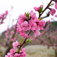 Turismo en Catalunya Ein Projekt aus dem Bereich Fotografie und Digitalfotografie von José Luis Andrés Mallén - 13.04.2023