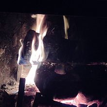 Natura e fotografia . Fotografi proyek oleh Sabrina Muratori - 05.10.2022