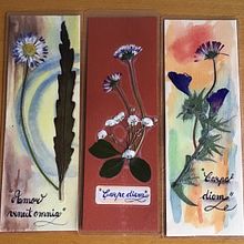 Curso prensar flores e plantas-Marcadores de páginas. Un proyecto de Artesanía, Bellas Artes, Collage, Diseño floral y vegetal de Isabel Sousa - 13.04.2023