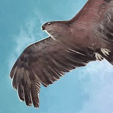 Concurso En España hay talento Ein Projekt aus dem Bereich Traditionelle Illustration von Gris Medina - 14.04.2023