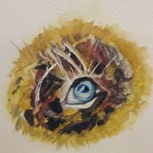 Cubs eye. Un progetto di Pittura ad acquerello di Margaret Fraser - 15.04.2023