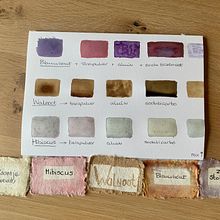 Mijn project van de cursus: Leer hoe je vloeibare aquarel en botanische inkt creëert . % Jolande van Luijk tarafından hazırlanan Sanat ve El Sanatları, Güzel sanatlar, Tablo, Sulubo, a Resim, Kendin Yap, Ve Renk Teorisi projesi - 04.15.2023