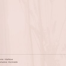 Canva de 0 a 100: crea diseños de forma profesional. Br, ing, Identit, Graphic Design, Web Design, and Social Media Design project by danielagiraldo.m - 04.09.2023