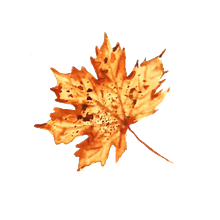 Maple leaf watercolor. Traditional illustration, Arts, Crafts, and Fine Arts project by rekhamav - 04.16.2023