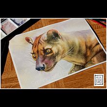 Il mio progetto del corso: Ritratti espressivi di animali ad acquerello. Projekt z dziedziny Trad, c, jna ilustracja, Malowanie akwarelą, R, sunek realist, czn, Ilustracja naturalist i czna użytkownika Selene Nardelli - 15.03.2023