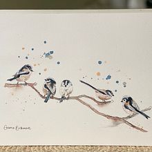 My project for course: Artistic Watercolor Techniques for Illustrating Birds . % Emma B tarafından hazırlanan Geleneksel illüstras, on, Sulubo, a Resim, Gerçekçi Çizim, Doğalcı İllüstras, Ve on projesi - 04.16.2023