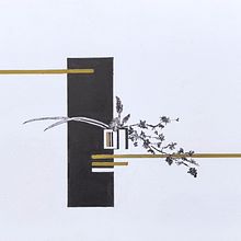 My project for course: Contemporary Botanical Illustration with Ink. Traditional illustration, Artistic Drawing, Botanical Illustration & Ink Illustration project by Zsuzsanna Récsán - 04.16.2023