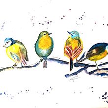 Mi proyecto del curso: Acuarela artística para ilustración de aves. Een project van Traditionele illustratie, Aquarelschilderen, Realistische tekening y Naturalistische illustratie van Josefina Quiceno Gutierrez - 17.04.2023