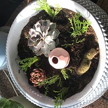 Terrarium . Floral, and Plant Design project by Sandrina Inês Menino Gomes - 03.14.2023