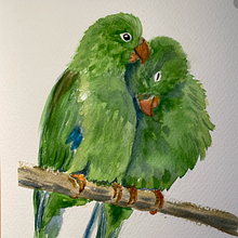 My project for course: Naturalist Watercolor with Expression and Personality. Un progetto di Illustrazione tradizionale, Pittura ad acquerello e Illustrazione naturalistica di msdonsey - 18.04.2023