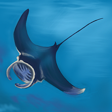 My project for course: Thematic Digital Illustration: Depict Different Worlds. Un progetto di Illustrazione digitale, Disegno digitale e Illustrazione editoriale di Denise DESENEPART - 18.04.2023