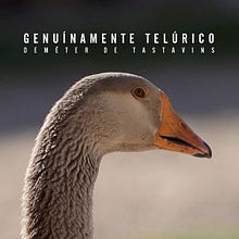 Genuínamente Telúrico - Demeter de Tastavins - Vídeo corporativo. Traditional illustration, Advertising, Motion Graphics, Photograph, Film, Video, TV, Video, TV, Audiovisual Production, Creativit, Video Editing, Filmmaking, Audiovisual Post-production, Documentar, Photograph, Br, ing, Identit, Art Direction, Events, Education, Product Design, Photograph, Post-production, Social Media, and Naturalistic Illustration project by Alberto Redondo - 06.06.2022