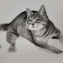 My project for course: Expressive Drawing with Charcoal. Projekt z dziedziny  Sztuki piękne,  R, sunek, Portret, Ilustracja naturalist i czna użytkownika Sue Higgerson - 19.04.2023