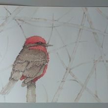 Meu projeto do curso. Ein Projekt aus dem Bereich Traditionelle Illustration, Bildende Künste, Malerei, Zeichnung, Aquarellmalerei, Botanische Illustration und Naturalistische Illustration von Ana Luiza Grehs Leite - 19.04.2023