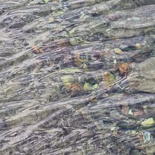 Mi proyecto del curso: Escritura para blogs: encuentra tu estilo personal. Projekt z dziedziny Pisanie, Cop, writing, Marketing treści, Komunikacja, Narracja i Tworzenie treści użytkownika Patricia Lareo Vales - 20.04.2023