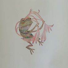 My project for course: Surrealist Illustration Inspired by Nature. Traditional illustration, Pencil Drawing, Drawing, Artistic Drawing, Naturalistic Illustration, and Colored Pencil Drawing project by Maria Panera - 04.20.2023