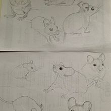 Mein Abschlussprojekt für den Kurs: Dynamische Tierillustration für Kindergeschichten. Character Design, Pencil Drawing, Drawing, and Children's Illustration project by Juliane Buneß - 04.20.2023