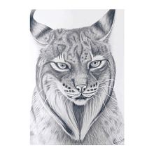 Mi proyecto del curso: Dibujo naturalista de animales con grafito. Projekt z dziedziny Trad, c, jna ilustracja, R, sunek ołówkiem,  R, sunek, Ilustracja naturalist i czna użytkownika Carmen Sánchez - 20.04.2023