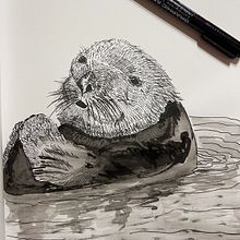 Mi Proyecto de Curso: Técnicas de dibujo para principiantes Trabaja en la Observación.. Un proyecto de Ilustración tradicional de Rolando Díaz Saavedra - 20.01.2023