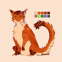 Koan | character design. Un progetto di Design, Character design, Design digitale e Disegno digitale di Havonia - 21.04.2023