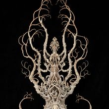 From the Fossils from the Future series 2004 to present . Fine Arts, and Sculpture project by lauriehassold - 04.22.2023