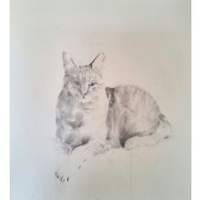 My project for course: Expressive Drawing with Charcoal. Fine Arts, Drawing, and Painting project by David Milton Jones - 04.22.2023