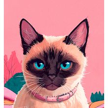 Gatita de collar rosado. Traditional illustration, Fine Arts, and Drawing project by irvin_th - 04.22.2023