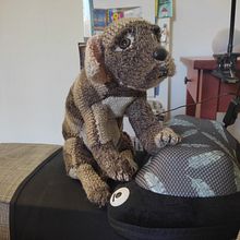 Mi proyecto del curso: Tejido de animales de peluche realistas: crea un cachorro de hilo. Fiber Arts, DIY, Textile Design, Design, To, and Design project by Monica Latorre - 04.23.2023
