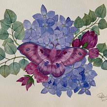 First attempt.. Un proyecto de Pintura a la acuarela de Phyllis Hewlett - 23.04.2023