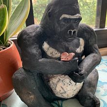 Gorille au coquelicot . Un progetto di Ceramica e Scultura di Alexandra D - 23.04.2023