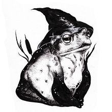Wizard toad. Un progetto di Illustrazione tradizionale di Mei P. Romano - 24.04.2023