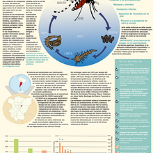 Mi proyecto del curso: Infografías creativas: combina el arte con los datos. Un progetto di Graphic design, Design dell’informazione, Infografica e Design di poster  di zelayarocio34 - 23.04.2023