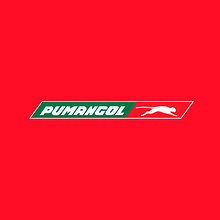 Pumangol Logo Animation. Un proyecto de Motion Graphics y Publicidad de Divaldo Barbosa - 23.04.2023