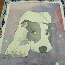 Mi mascota . Pictură în acuarelă de ketherael - 04.25.2023