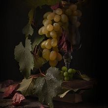 Grapes. Photograph project by l'Arna Papy - 04.26.2023