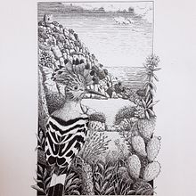 Mein Abschlussprojekt für den Kurs: Illustration mit Füller und Tinte: Natur zeichnen. Projekt z dziedziny Sketching,  R, sunek,  R, sunek art, st, czn, Sketchbook,  R, sunek atramentem, Ilustracja naturalist i czna użytkownika heiki_romito - 27.04.2023