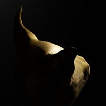 Golden sphinx. 3D, 3D Design, and Concept Art project by Rocio Fuentes - 12.21.2021