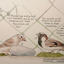 Seiten aus meinem Nature Journal. Traditional illustration project by radieschen - 04.27.2023