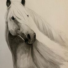 My project for course: Expressive Animal Portraits in Watercolor. Projekt z dziedziny Trad, c, jna ilustracja, Malowanie akwarelą, R, sunek realist, czn, Ilustracja naturalist i czna użytkownika jhevans2831 - 24.04.2023