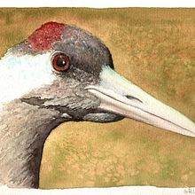 My project for course: Painting Realistic Watercolor Landscapes. Fine Arts, Painting, Sketching, Watercolor Painting, and Naturalistic Illustration project by ab_35 - 04.28.2023