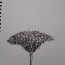 Meu projeto do curso: Desenho para principiantes nível -1 Ein Projekt aus dem Bereich Bleistiftzeichnung, Zeichnung, Kreativität mit Kindern und Sketchbook von filo23 - 27.04.2023