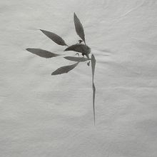Introduction to Sumi-e Painting A course by Koshu , Artist and Teache. Traditional illustration project by llpaston - 04.29.2023