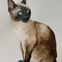 My study of cat for project  . % jhevans2831 tarafından hazırlanan Sanat ve El Sanatları projesi - 04.28.2023